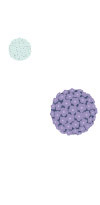 Conferência «Uma Ambição Europeia: Eliminar o HPV»